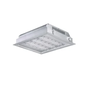 Series H Modular Design Canopy Light Fixture