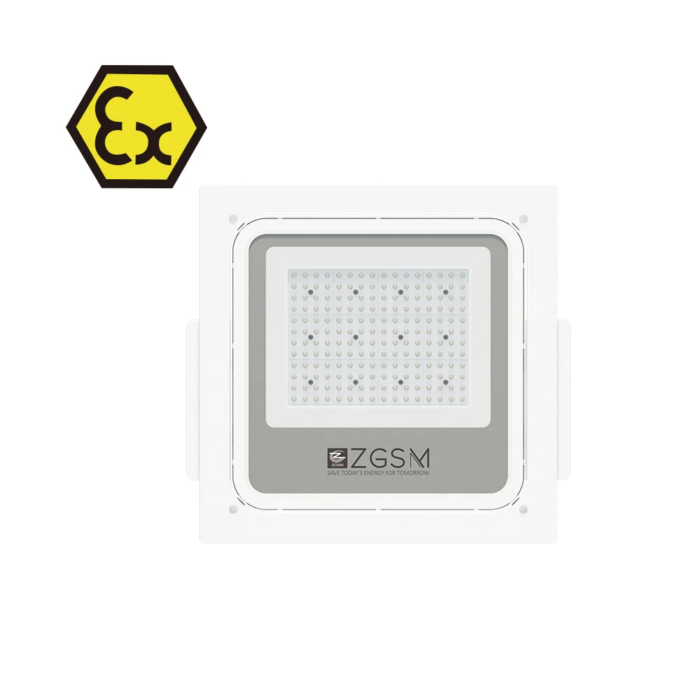 Series Primo ATEX Led Canopy Light