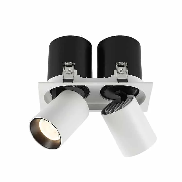 Pull-Out Tiltable LED Downlight | Model: LLS-DLG-F