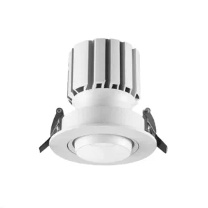 Eyeball Downlight 10W-30W