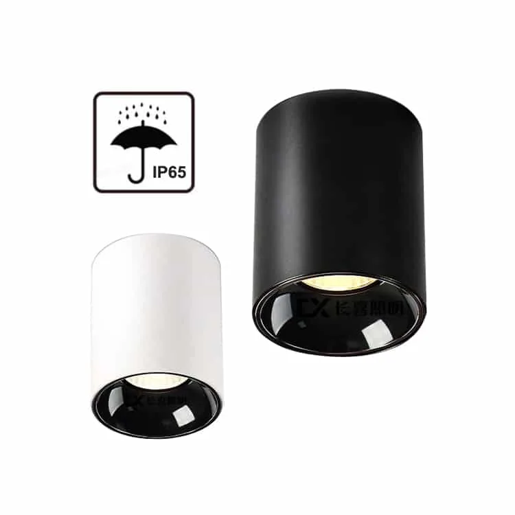 Outdoor IP65 Waterproof Surface Cylinder Downlight